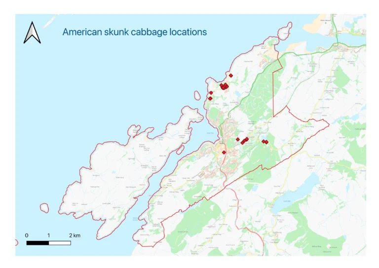 Skunk cabbage locations